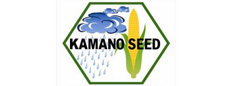 Kamano Seed